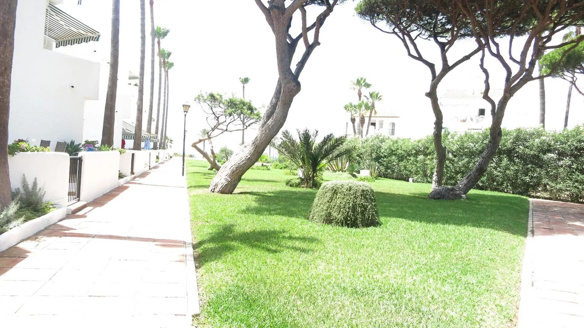 Apartment Apartamento El Bogavante Chiclana de la Frontera Spain